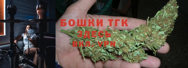 тгк Нея
