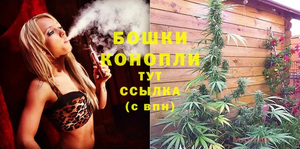 стаф Новокубанск