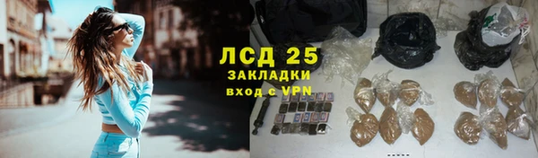 тгк Нея